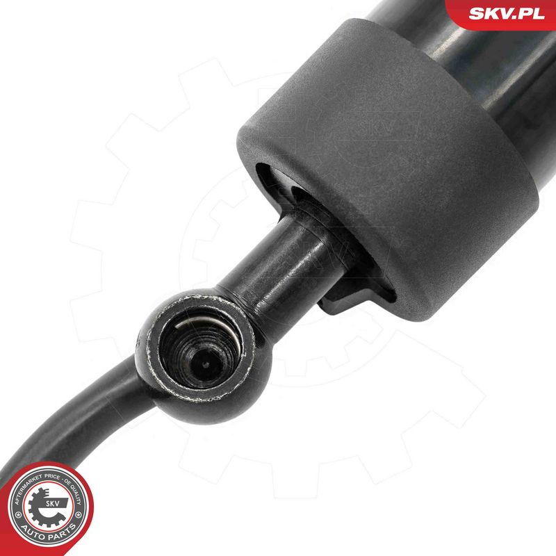 ESEN SKV 52SKV262 Electric Motor, tailgate