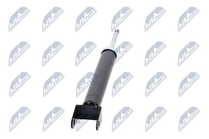 Amort, NTY A-CH-078