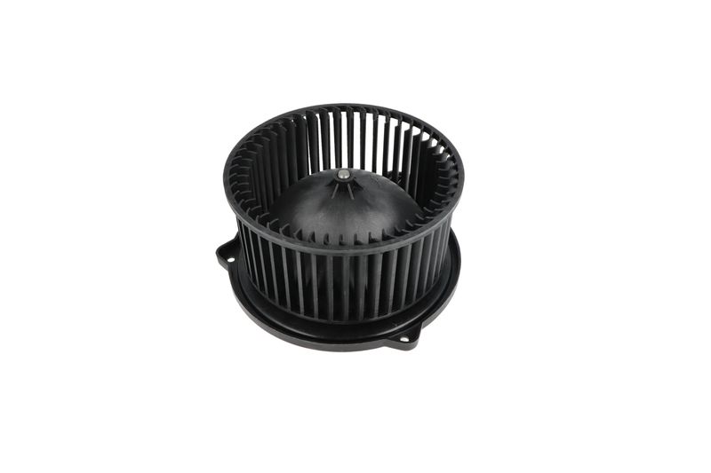 Salongipuhur, NRF 34331