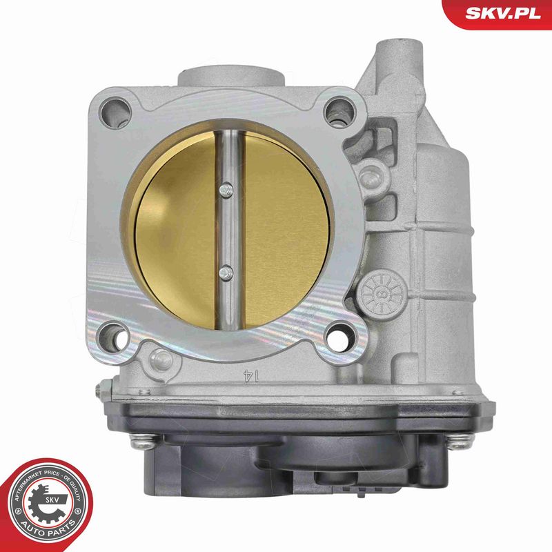 ESEN SKV 12SKV206 Throttle Body