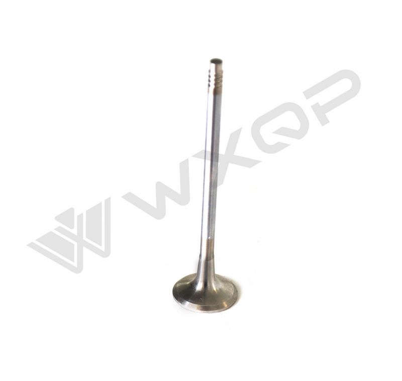 WXQP 211171 Port Valve