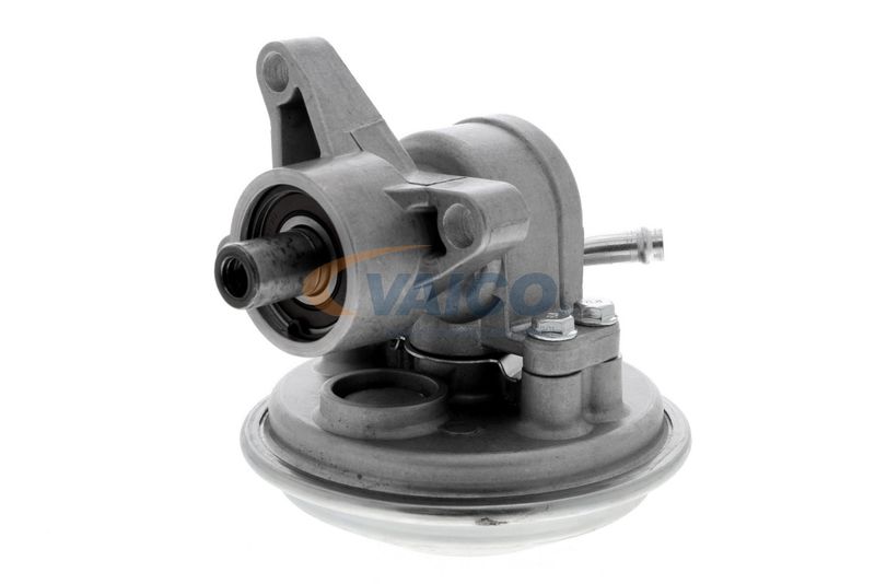 VAICO V25-1907 Mounting, engine