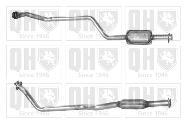QH_QCAT80077H.JPG