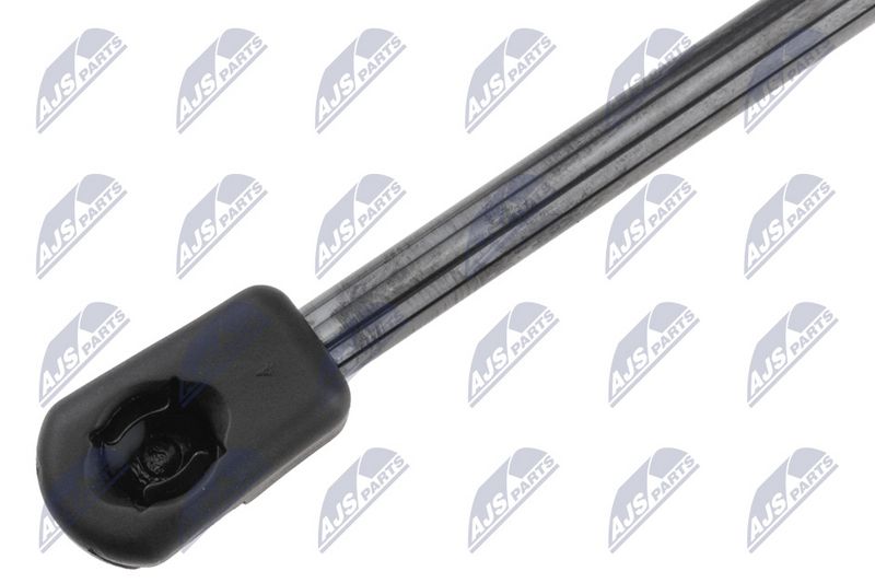 NTY AE-NS-034 Gas Spring, bonnet