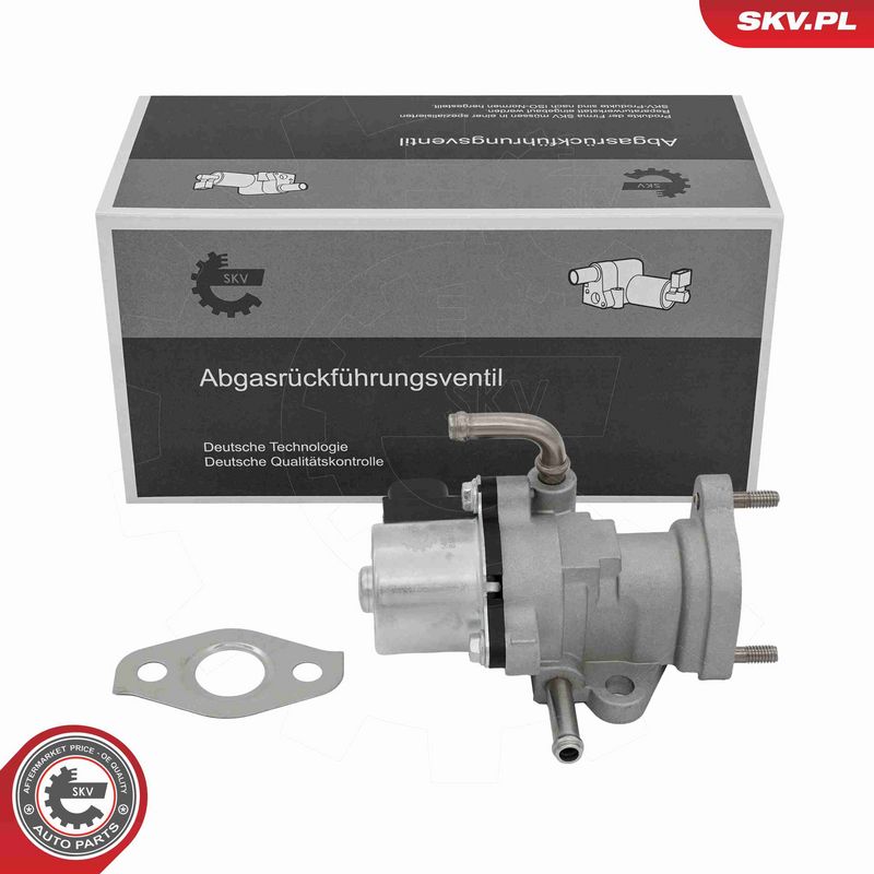ESEN SKV 14SKV319 - EGR Valve