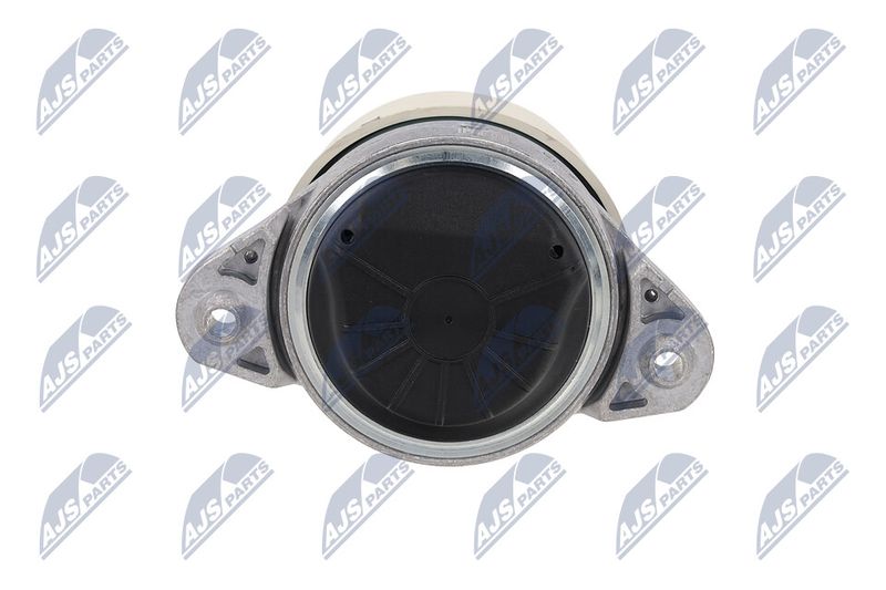 Paigutus, Mootor, NTY ZPS-ME-038