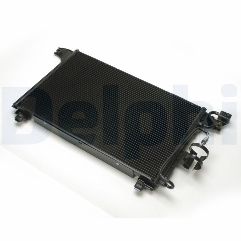 CF10021.JPG