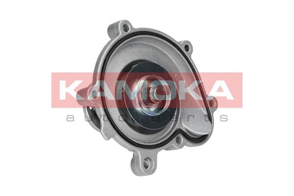 KAMOKA T0194 Water Pump, engine cooling