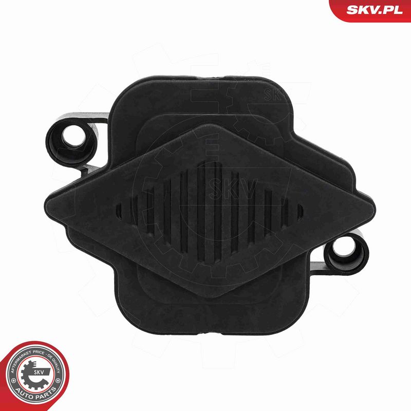 ESEN SKV 97SKV376 Switch, tailgate release