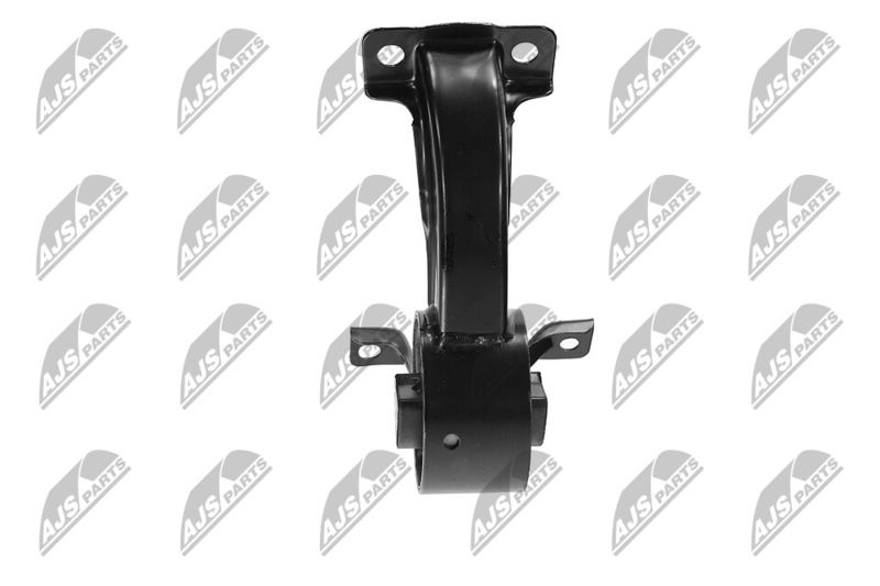 Paigutus, Mootor, NTY ZPS-CH-169