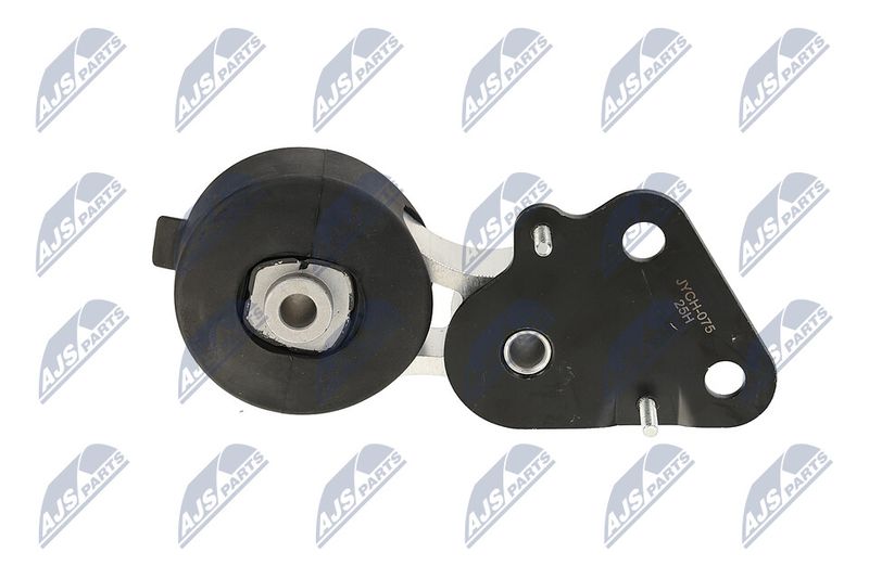 Paigutus, Mootor, NTY ZPS-CH-075