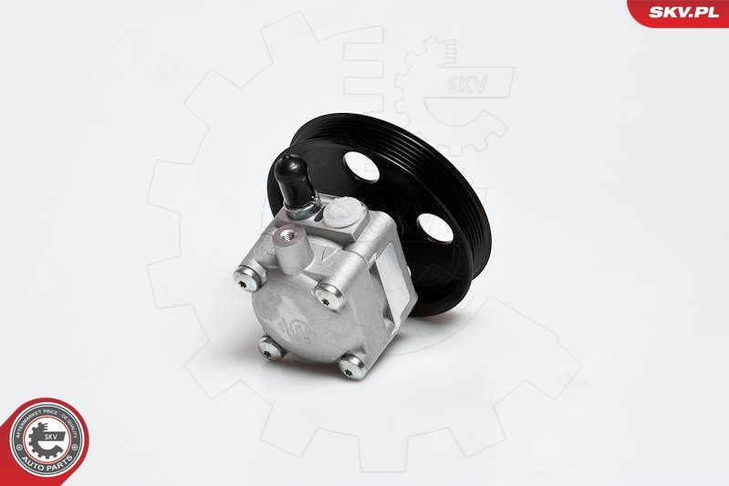 ESEN SKV 10SKV176 Hydraulic Pump, steering