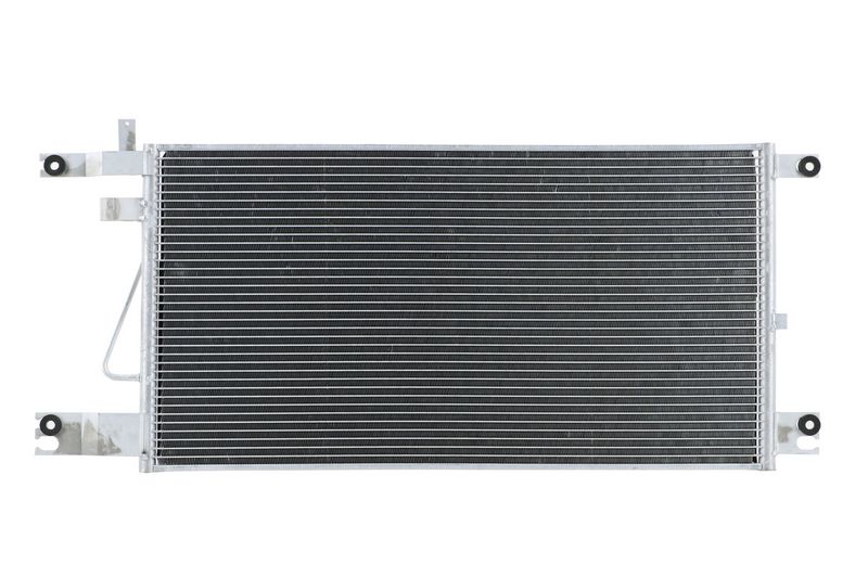 366222381_BACK_TD_1.JPG