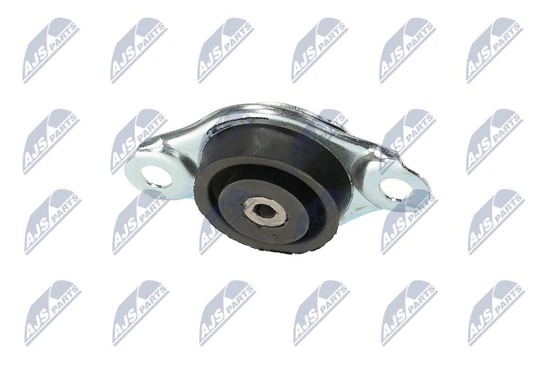 Paigutus, Mootor, NTY ZPS-FT-005