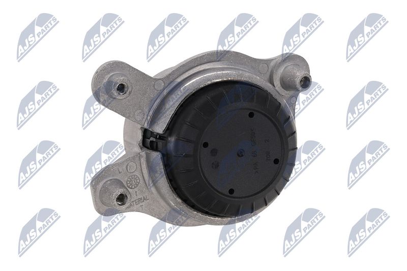 Paigutus, Mootor, NTY ZPS-ME-028