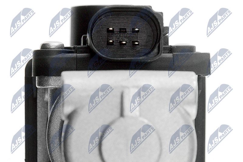 egr-vw-006_4-wm.JPG