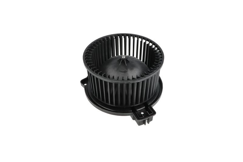 Salongipuhur, NRF 34331