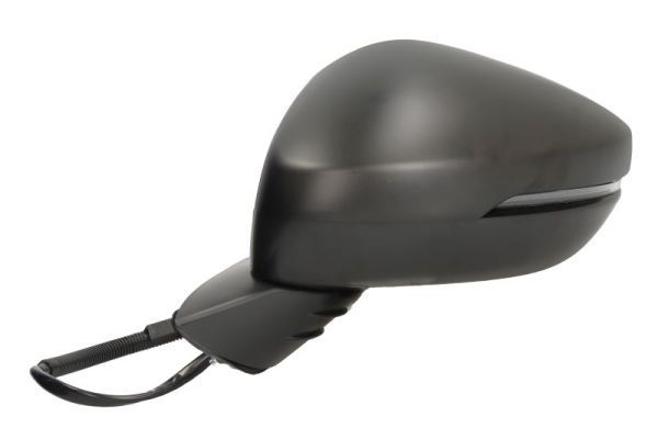 BLIC 5402-12-2501310P Exterior Mirror