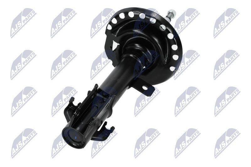 Amort, NTY A-NS-023