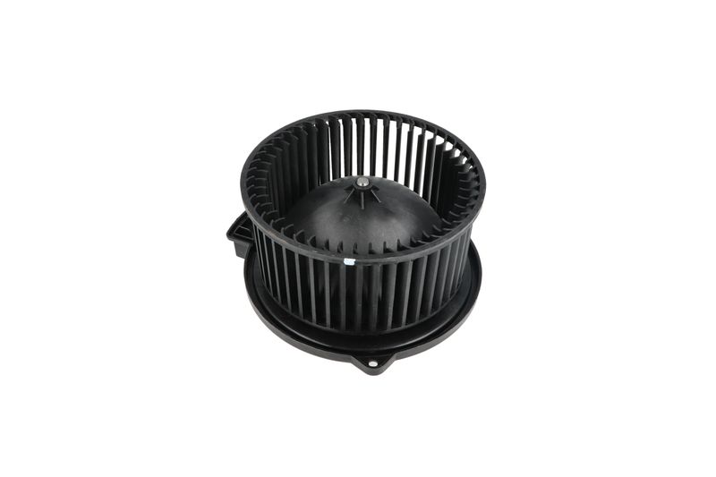 Salongipuhur, NRF 34331