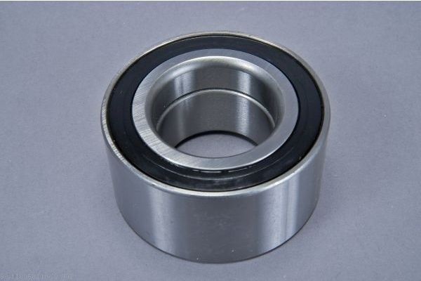 AUTOMEGA 110060110 Wheel Bearing