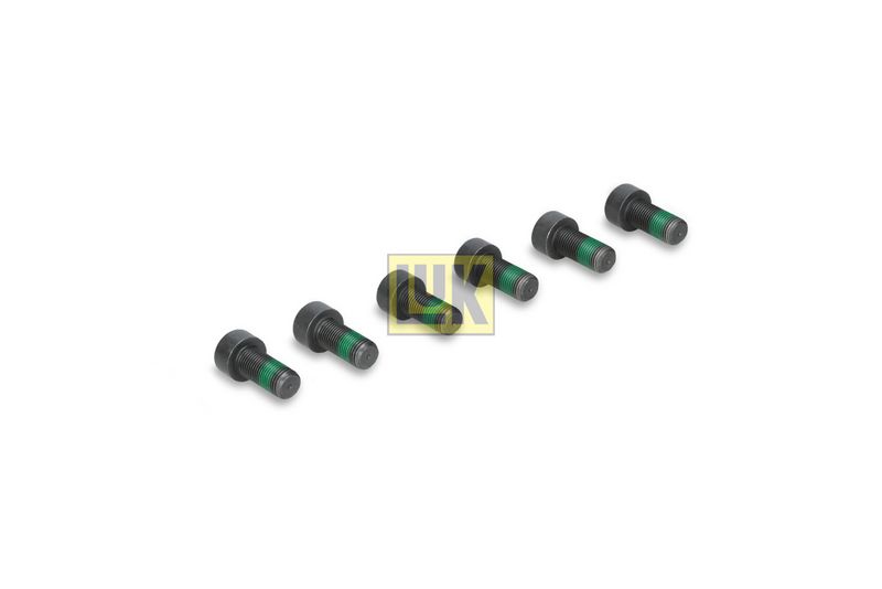 Kruvikomplekt, hooratas Schaeffler LuK 411013310