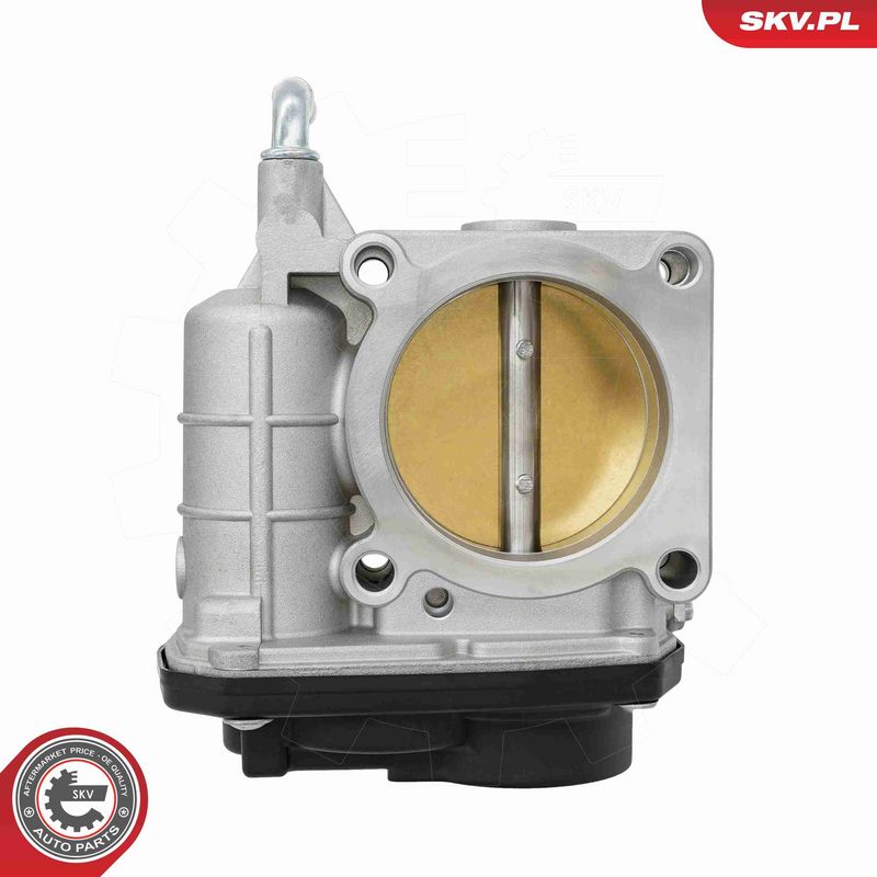 ESEN SKV 12SKV184 Throttle Body