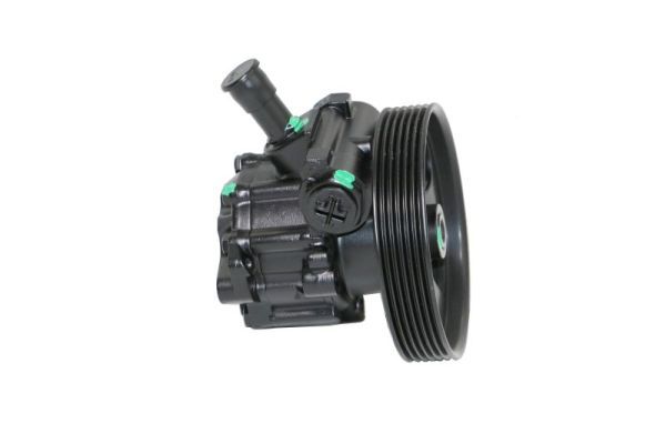 LAUBER 55.4303 Hydraulic Pump, steering