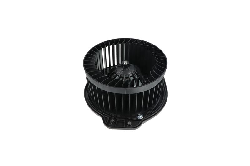 Salongipuhur, NRF 34136