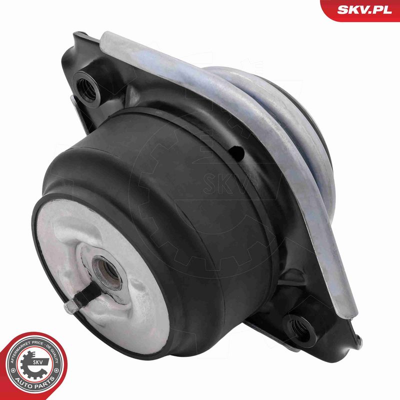 ESEN SKV 75SKV130 Mounting, engine
