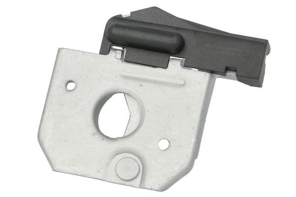 Brava haube motora BLIC 6010-09-1195424P