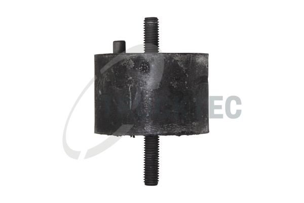 TRUCKTEC AUTOMOTIVE 08.22.002 - Mounting, engine