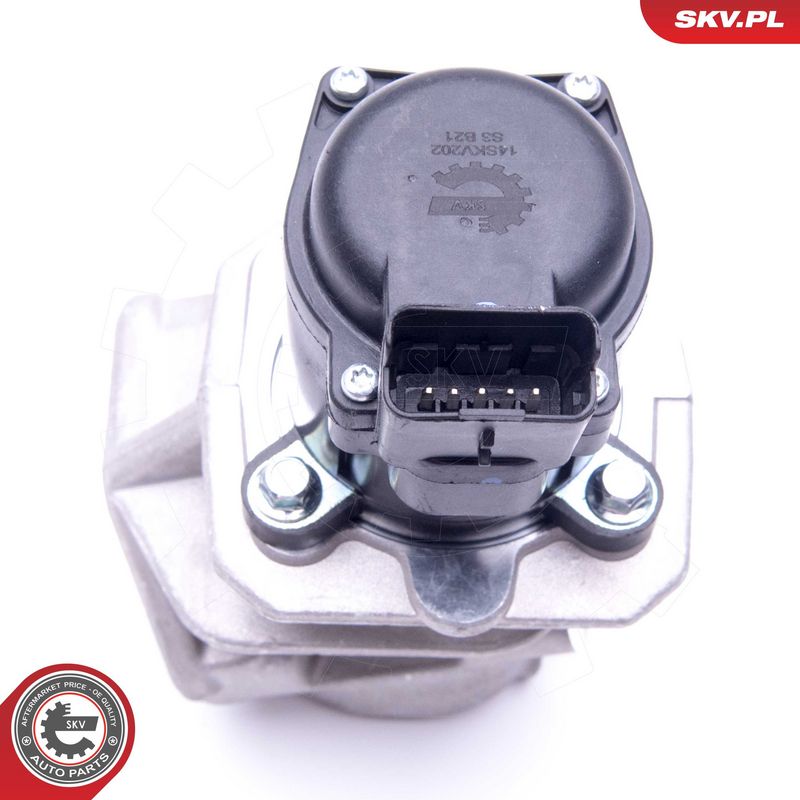 EGR-klapp, ESEN SKV 14SKV202