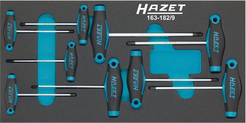 Set surubelnite HAZET 163-182/9