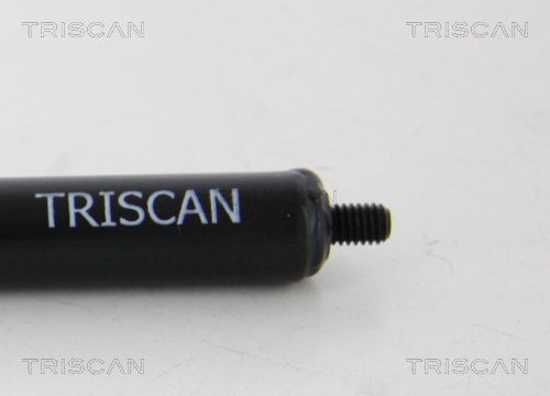 TRIS8710615159350_2.JPG