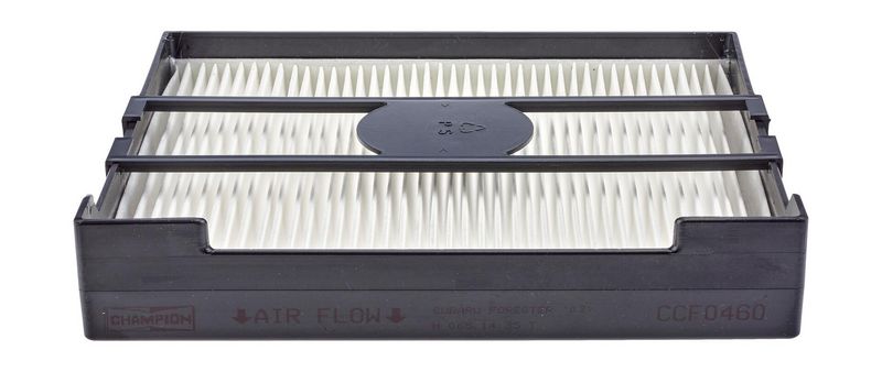 CHAMPION Filtras, salono oras