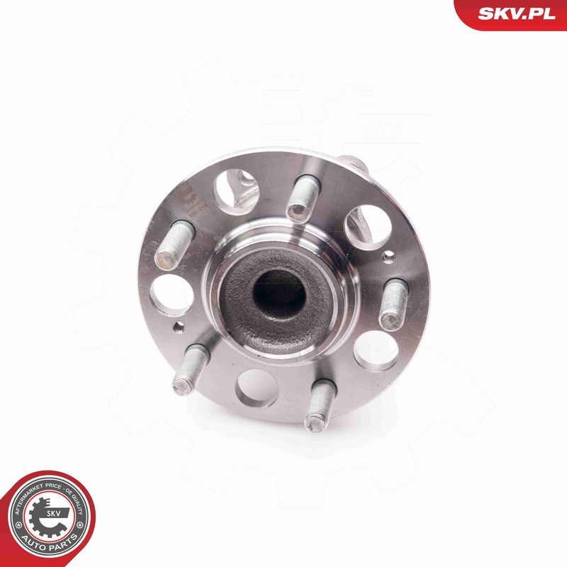 ESEN SKV 29SKV071 Wheel Bearing Kit