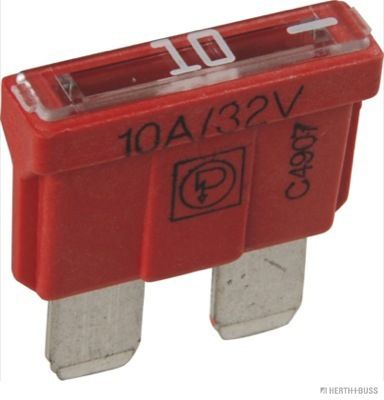 50295510.JPG
