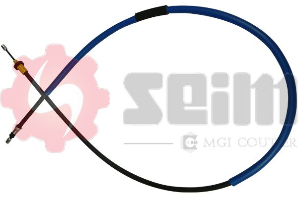 554681.JPG