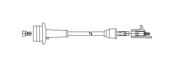 317_.JPG
