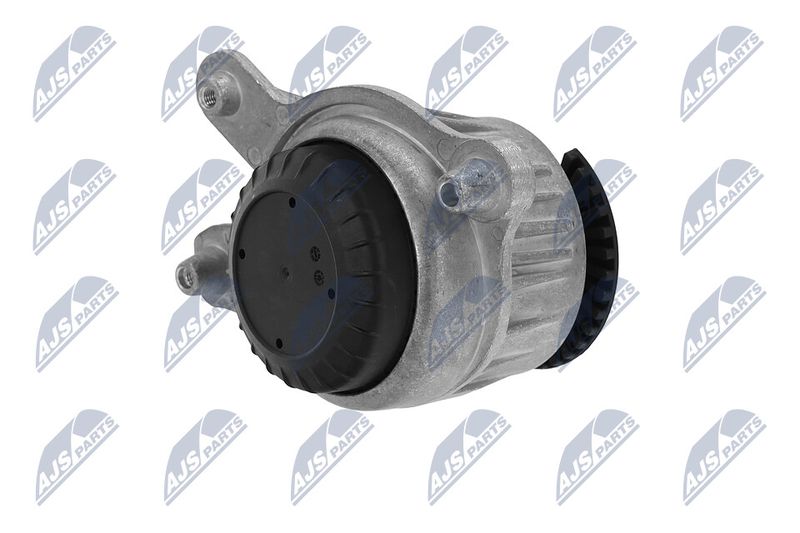 Paigutus, Mootor, NTY ZPS-ME-030