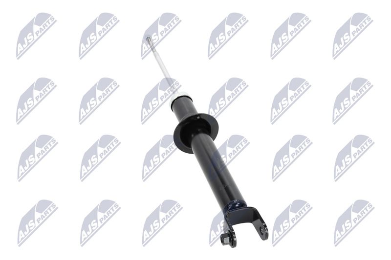Amort, NTY A-CH-055