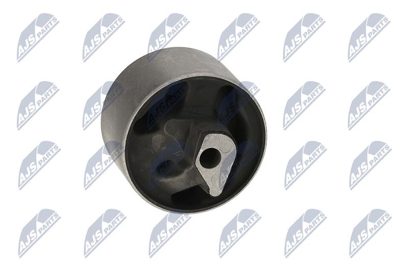 Paigutus, Mootor, NTY ZPS-CH-040