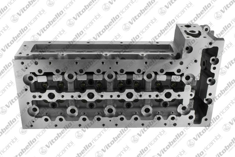 Vitobello ricambi 1004483N Cylinder Head