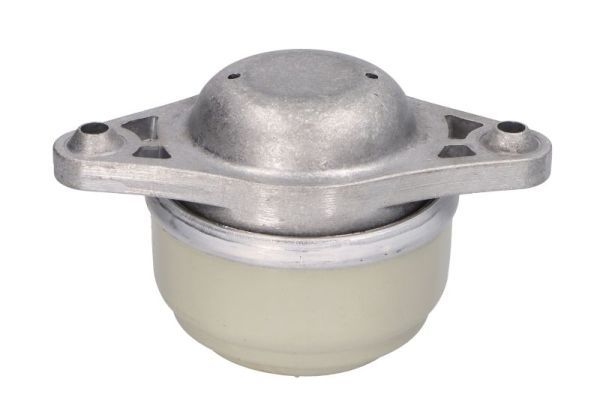 REINHOCH RH11-3099 Mounting, engine
