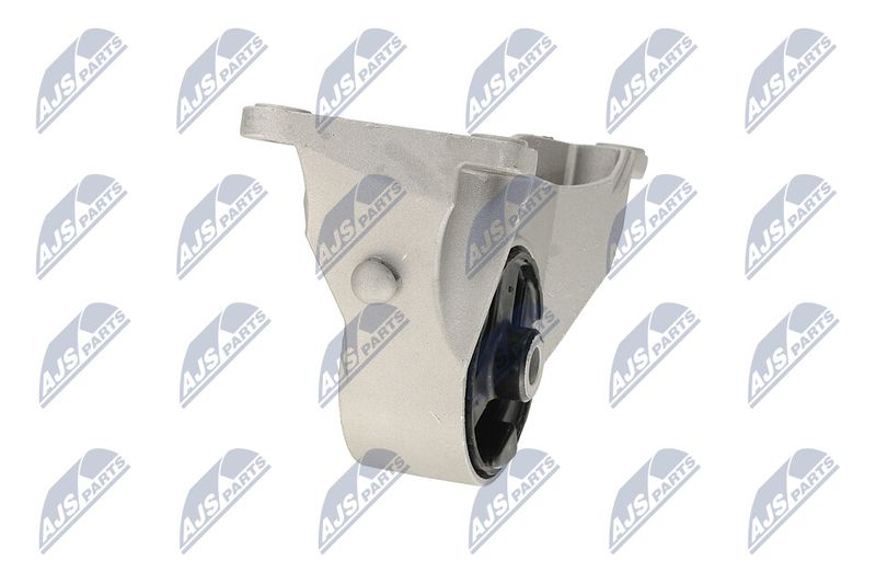 Paigutus, Mootor, NTY ZPS-PL-039