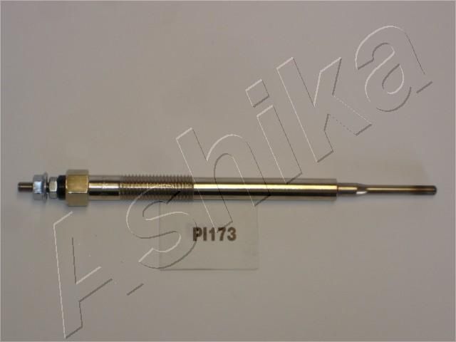 PI173_1.JPG