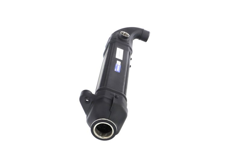 REMANTE 010-001-000025R EGR Module