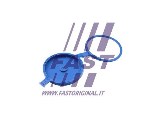 FT94731_2_1.JPG
