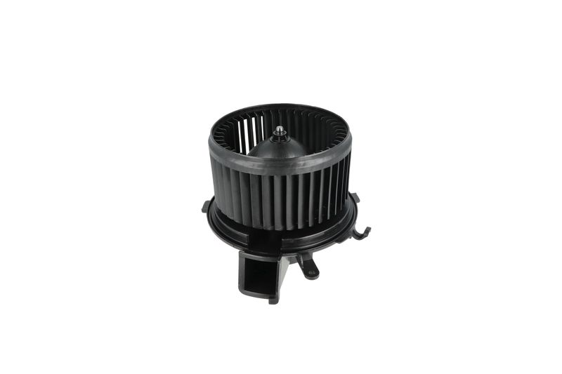 Salongipuhur, NRF 34234